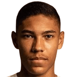 Vinicius Balieiro Lourenc