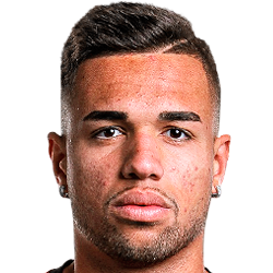 Vinicius Kaue Ribeiro Fer