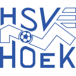 HSV胡克