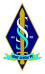 仙台索尼